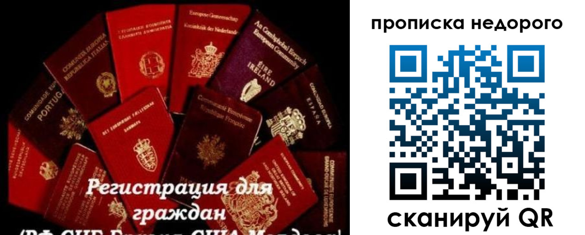 временная регистрация недорого в Большом Камне